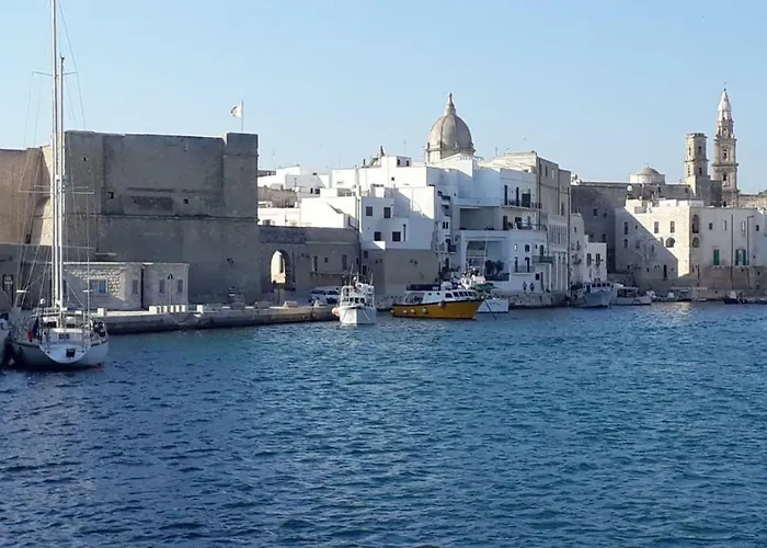 Overseas Pool וילה